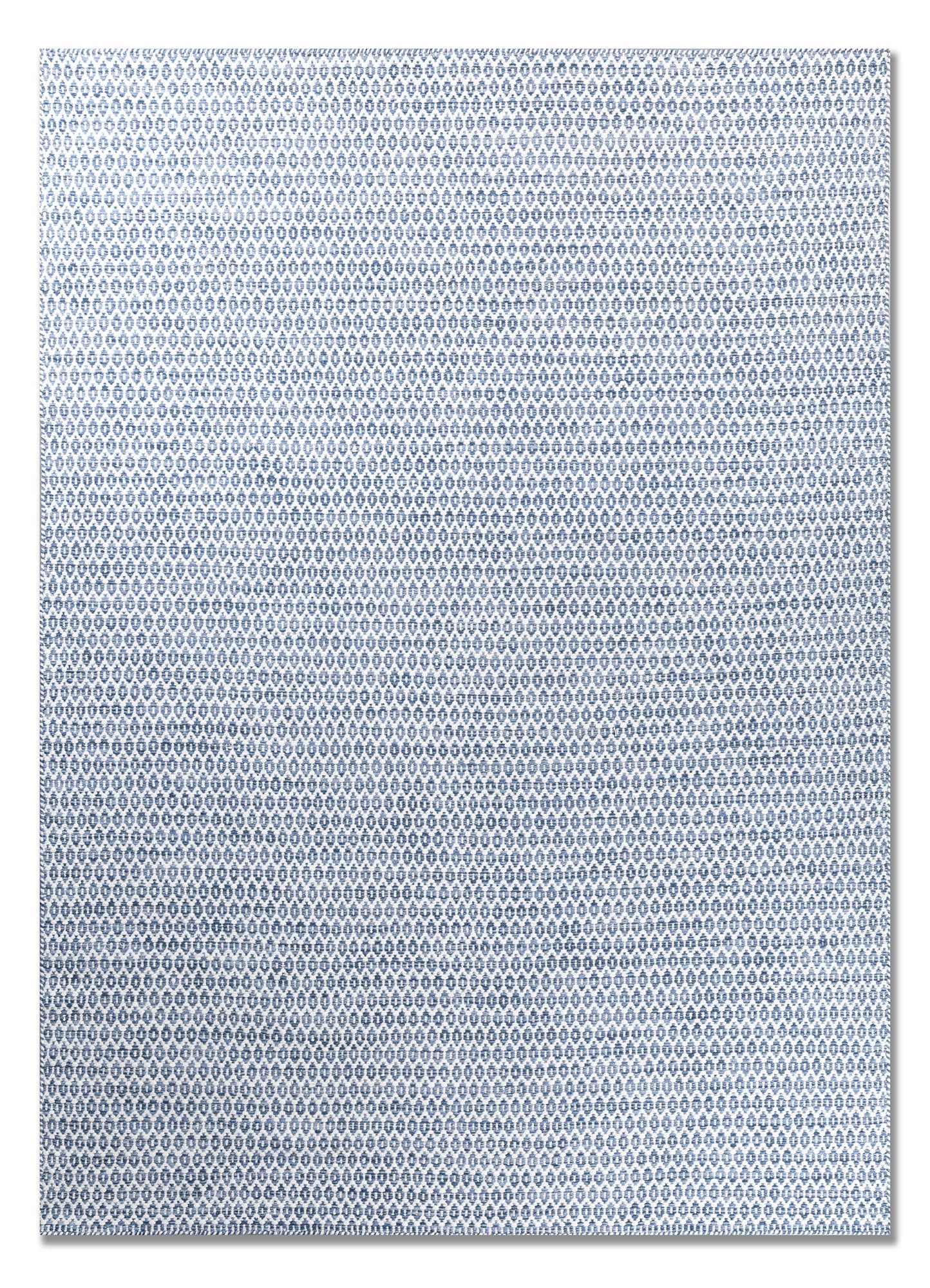 Indigo Seed